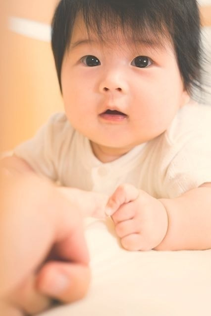 やまさんこどもプロジェクトの活動内容